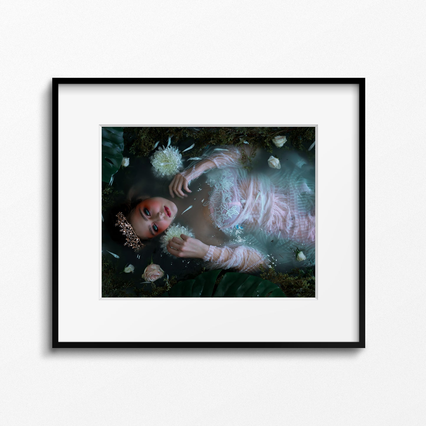 Water Lily