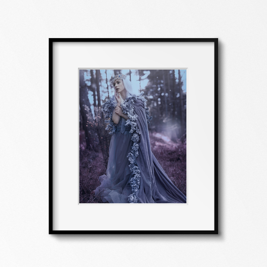 Lavender Reign